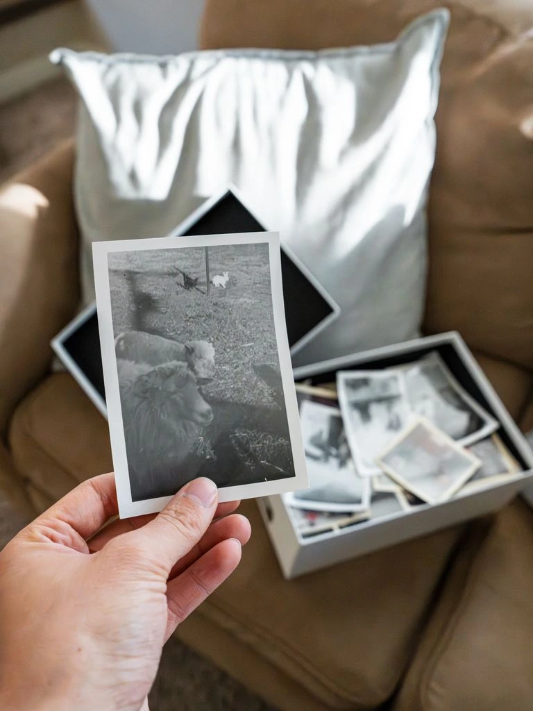 An opened dispatch folder on a reading desk, photographed as an archival pigment print.